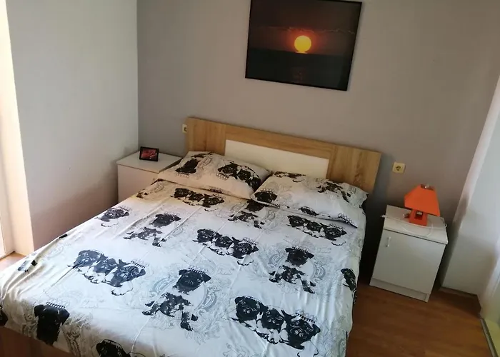 A&n Bibinje
